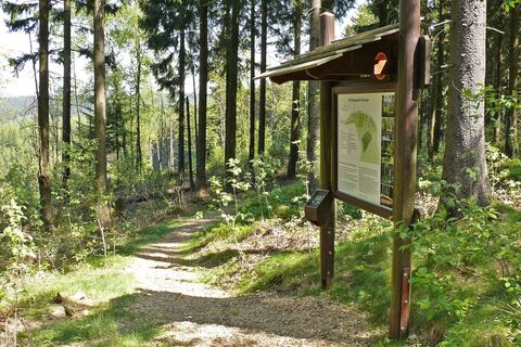 Hinweistafel Wildnispfad Altenau