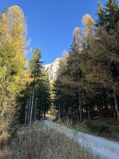 Fotografia z Christoph Pre na trase