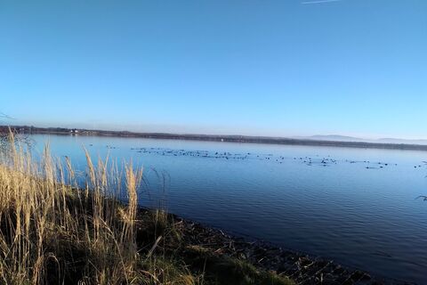 Foto fra Januar Y underveis på turen