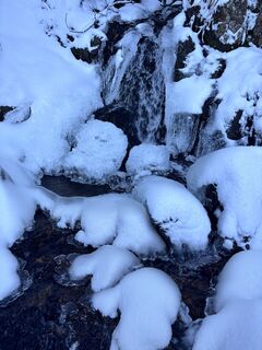 Foto van Viola langs de tour