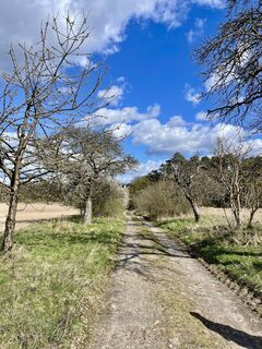 Fotografija s spletne strani Sebastian Keßler na poti