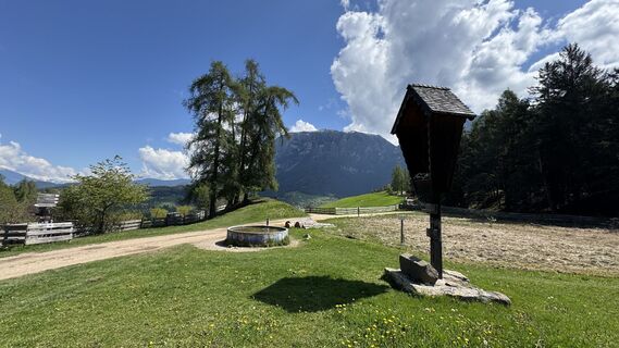 Fotografie z Eberl Christian na trase