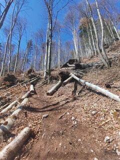 Photo de ReginaSt le long du parcours