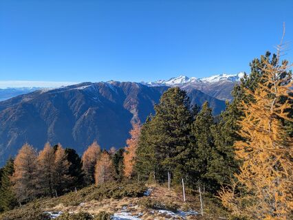 Fotografija s spletne strani Heidirenate na poti