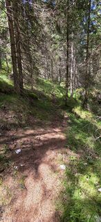 Fotografija s spletne strani Éva Dörflinger na poti