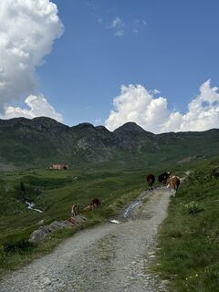 Foto von Fabio Rossini entlang der Tour