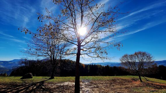 Fotografija s spletne strani Regina Fleischmann na poti