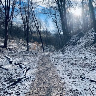 Foto de Bacskai János a lo largo del recorrido