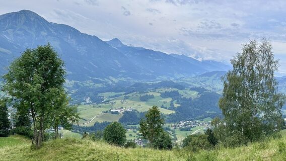 Foto von Mountain Cat ? ⛰️ entlang der Tour