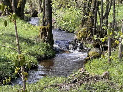 Foto de Norbert Herbig a lo largo del recorrido