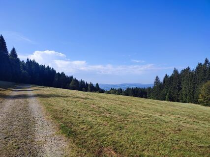 Bergwiese am ehemaligen PP Oberschwarzenberg