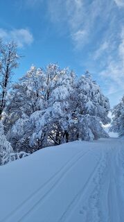 Foto de Fabrizi Mellano a lo largo del recorrido