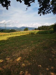 Foto von Ján Žilinský entlang der Tour