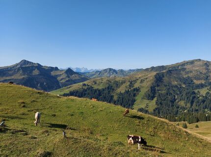 Foto da Margret Brunner lungo il tour