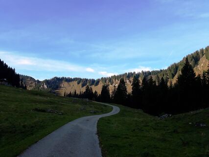 Almstraße zur Röthensteinalm