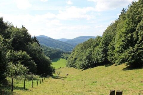 Fernblick