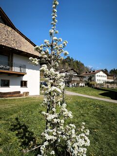 Photo de Walter Tinkhauser le long du parcours
