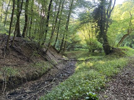 Photo de Reti Alicia le long du parcours