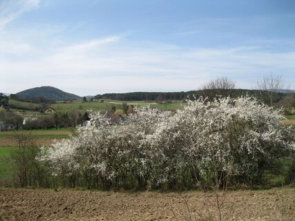 Ternitz - Puchberg