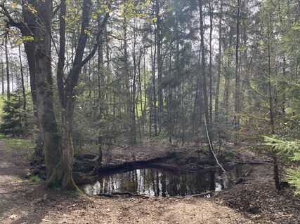 Foto von Miriam entlang der Tour