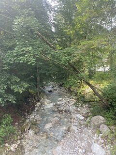 Fotografia z Corina Manuela Motisan na trase