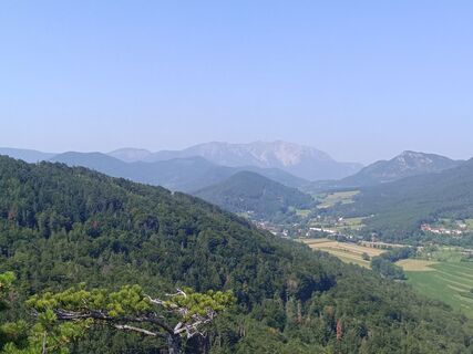 Photo de PPK le long du parcours