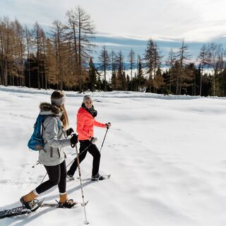 Schneeschuhwandern auf der Saualpe