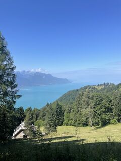 Фото с сайта Martin Reinhard во время экскурсии