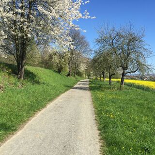 Impressionen