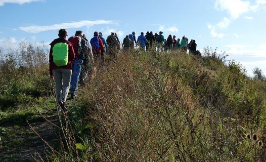 Wandergruppe auf Steinberg 2025 - LTM.JPG