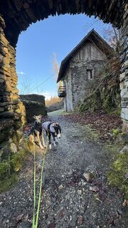 Foto von Gabor Hetyesy entlang der Tour