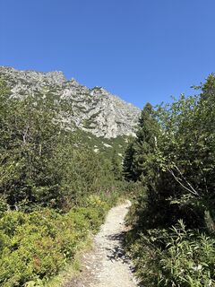 Foto von Levi Gurbi entlang der Tour