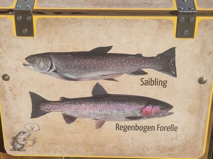 Fischlehrpfad_Fischarten_St. Kathrein_Oststeiermark