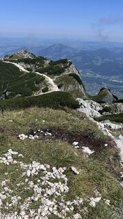 Foto von Mountain Cat ? ⛰️ entlang der Tour