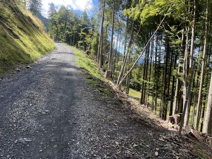 Photo de Yoelle keizer le long du parcours