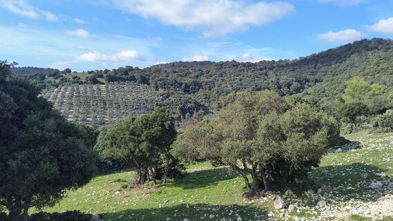 Photo de Platon le long du parcours