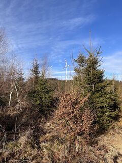 Foto von Hans Felli entlang der Tour