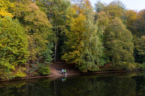 Karlsbergweiher im WaldPark Schloss Karlsberg, Homburg, 2020, Eike Dubois