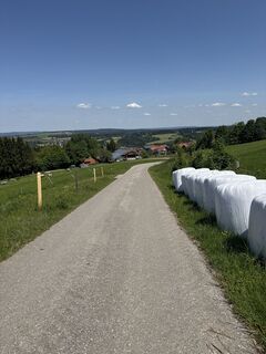 Foto von Balázs Schaffer 1 entlang der Tour