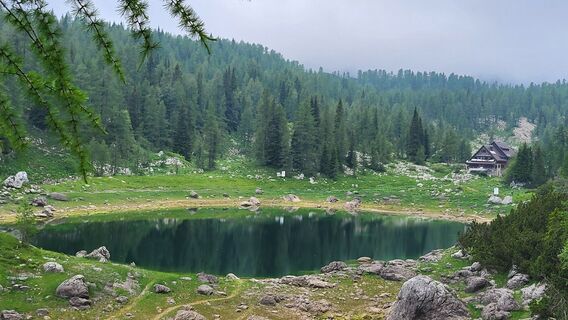 Foto fra Igor napast undervejs på turen