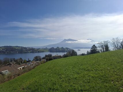 Photo from Maurer Silvia along the tour