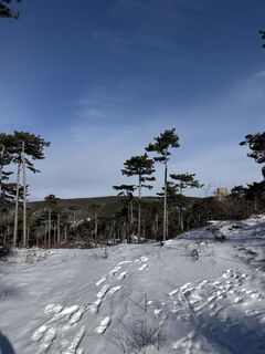 Foto von Andreas Vogel 1 entlang der Tour