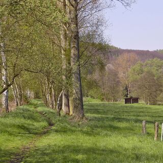 Wanderpfad-Hanfbachtal