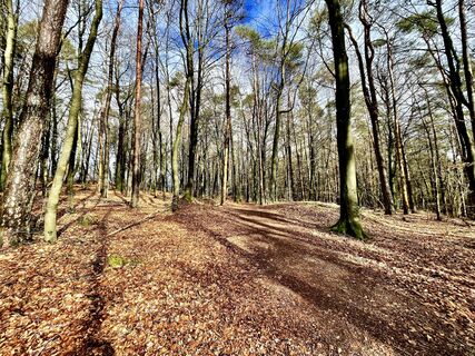 Fotografija s spletne strani Les aventures de Ghislain na poti