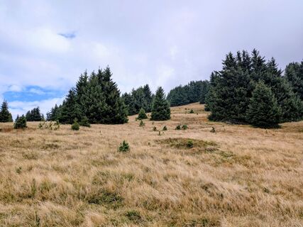 Foto von Sabrina Hackel entlang der Tour