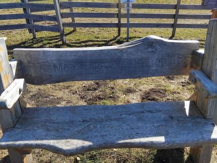 Photo de Fritz 6 le long du parcours