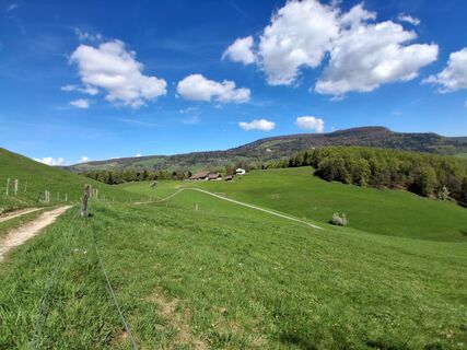 Photo de Stefan38 le long du parcours