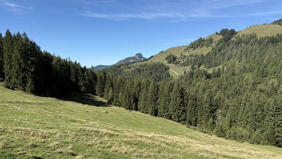 Fotografija s spletne strani Sven Heimlich na poti