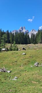 Photo de Buchegger Barbara le long du parcours