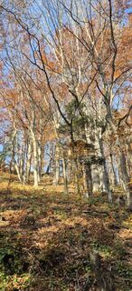 Foto von Hari Schrittwieser entlang der Tour